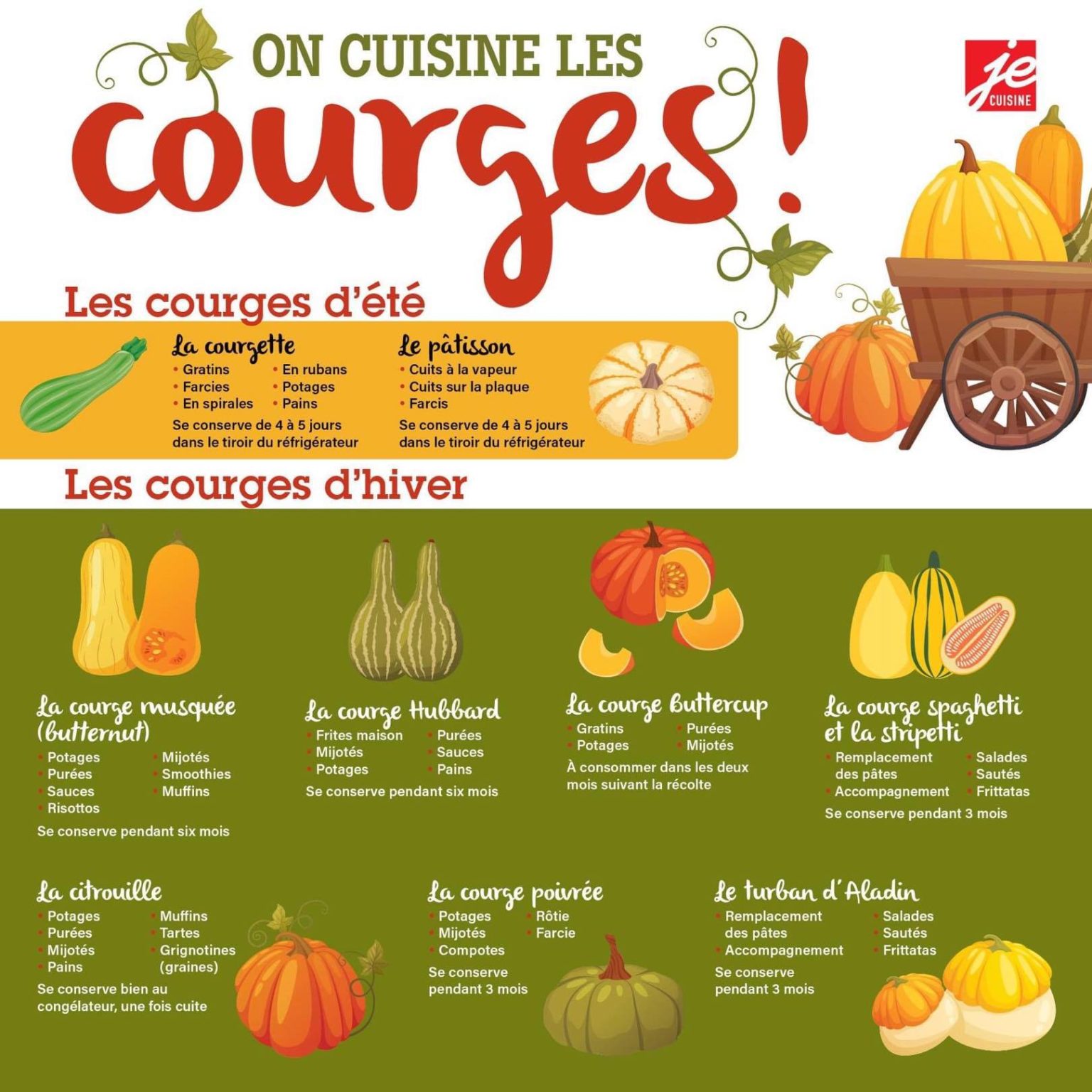 LES DIFFÉRENTES VARIÉTÉS DE COURGES – Fannelie.com