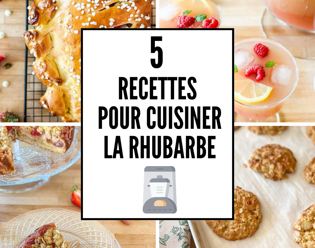 5 recettes pour cuisiner la rhubarbe